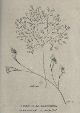 Reproducción/Reproduction 7344945696: Zoological lectures delivered at the Royal Institution. London,Kearsley,1809.