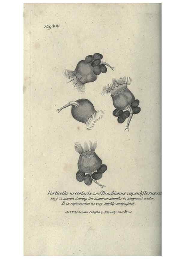 Reproducción/Reproduction 7344946454: Zoological lectures delivered at the Royal Institution. London,Kearsley,1809.