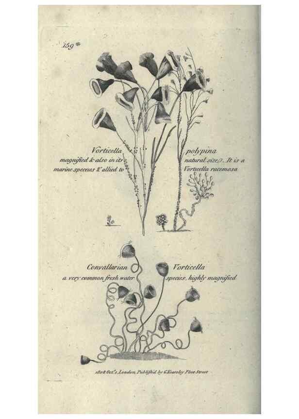 Reproducción/Reproduction 7159740585: Zoological lectures delivered at the Royal Institution. London,Kearsley,1809.