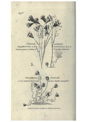 Reproducción/Reproduction 7159740585: Zoological lectures delivered at the Royal Institution. London,Kearsley,1809.
