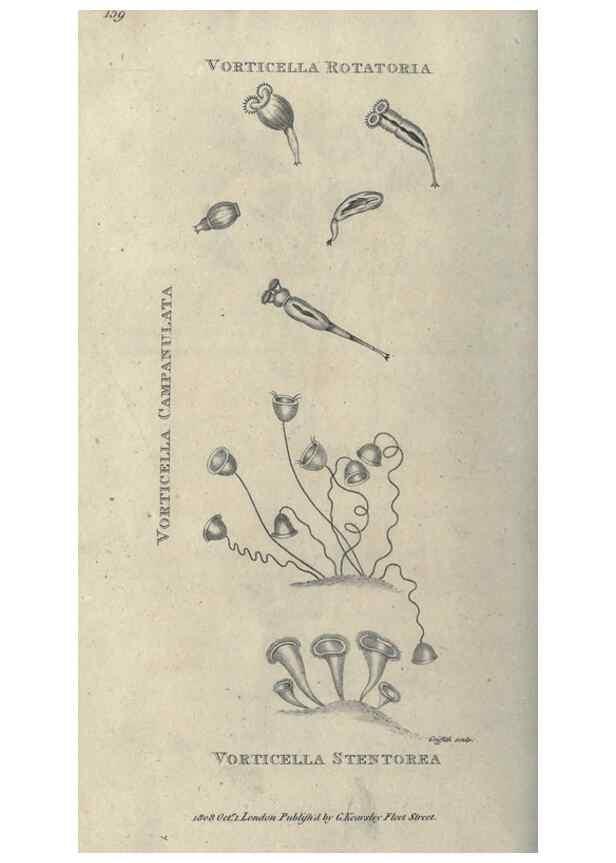 Reproducción/Reproduction 7344948298: Zoological lectures delivered at the Royal Institution. London,Kearsley,1809.