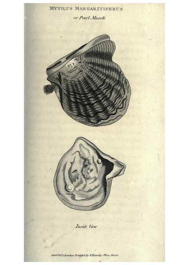 Reproducción/Reproduction 7159726293: Zoological lectures delivered at the Royal Institution. London,Kearsley,1809.