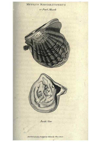 Reproducción/Reproduction 7159726293: Zoological lectures delivered at the Royal Institution. London,Kearsley,1809.