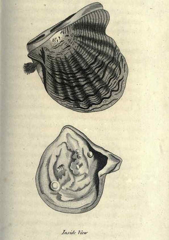 Reproducción/Reproduction 7159726293: Zoological lectures delivered at the Royal Institution. London,Kearsley,1809.