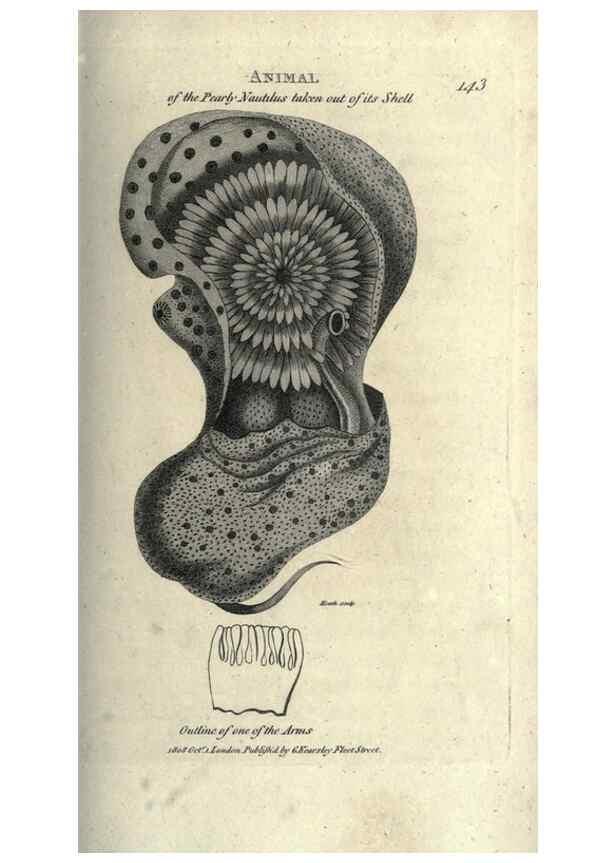 Reproducción/Reproduction 7159724425: Zoological lectures delivered at the Royal Institution. London,Kearsley,1809.