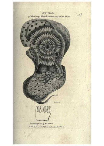 Reproducción/Reproduction 7159724425: Zoological lectures delivered at the Royal Institution. London,Kearsley,1809.