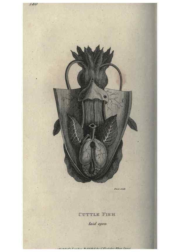 Reproducción/Reproduction 7159710807: Zoological lectures delivered at the Royal Institution. London,Kearsley,1809.