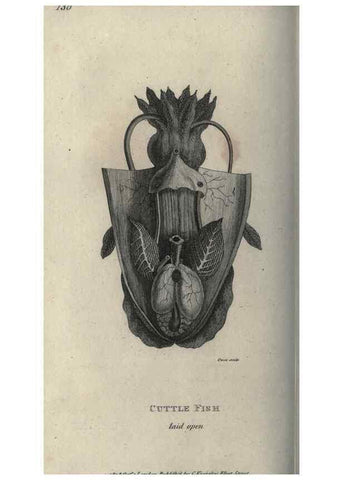 Reproducción/Reproduction 7159710807: Zoological lectures delivered at the Royal Institution. London,Kearsley,1809.