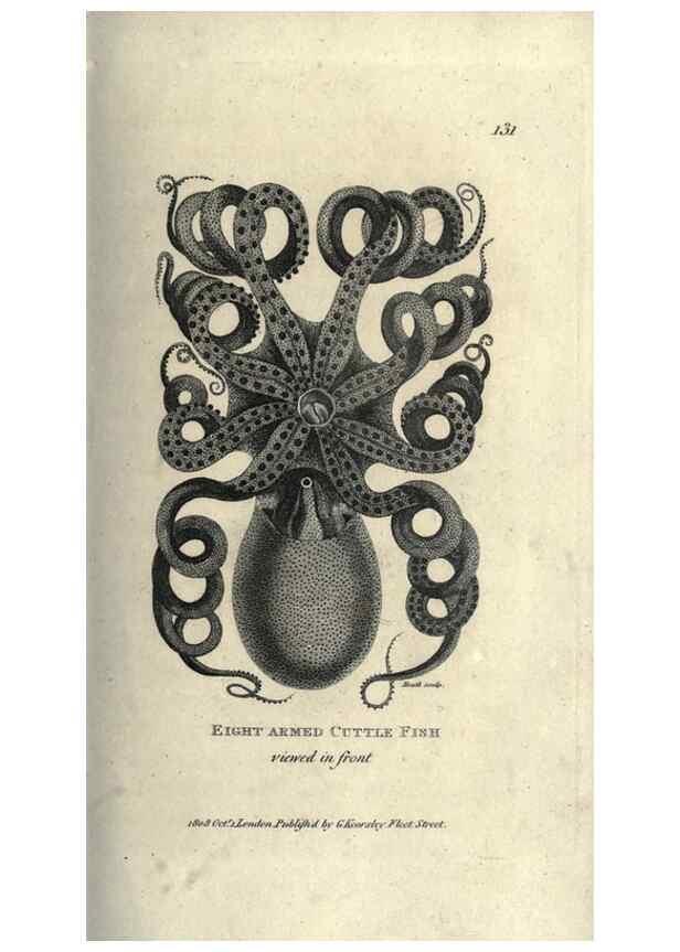 Reproducción/Reproduction 7344918430: Zoological lectures delivered at the Royal Institution. London,Kearsley,1809.