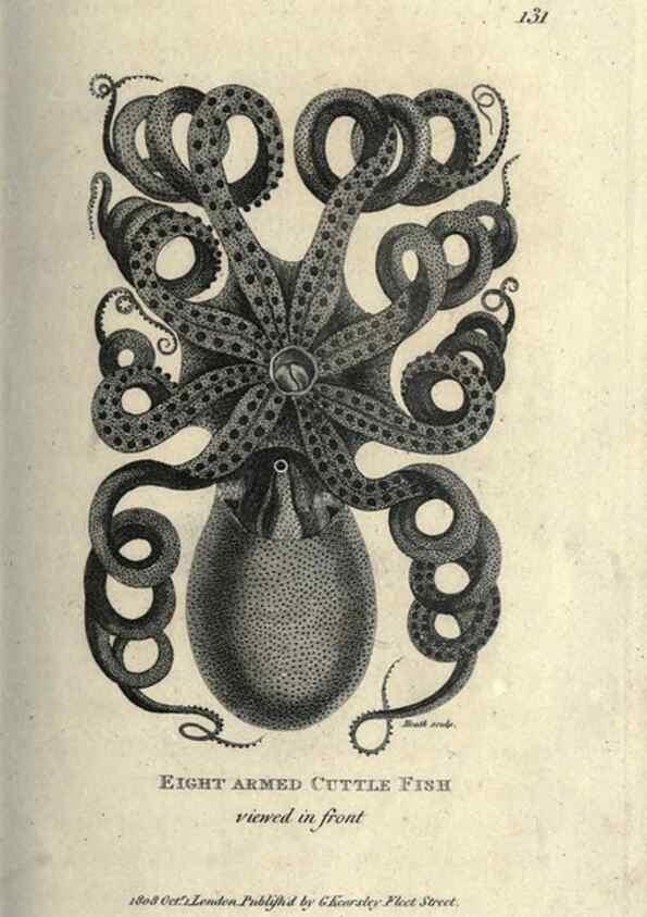 Reproducción/Reproduction 7344918430: Zoological lectures delivered at the Royal Institution. London,Kearsley,1809.