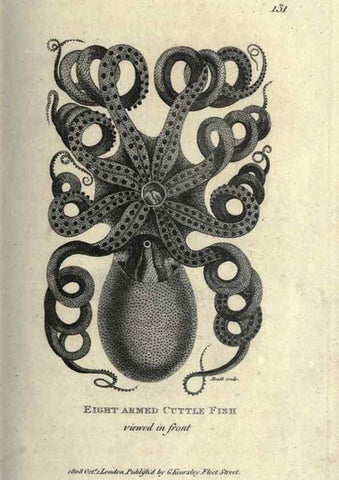 Reproducción/Reproduction 7344918430: Zoological lectures delivered at the Royal Institution. London,Kearsley,1809.