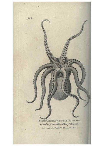 Reproducción/Reproduction 7159712353: Zoological lectures delivered at the Royal Institution. London,Kearsley,1809.