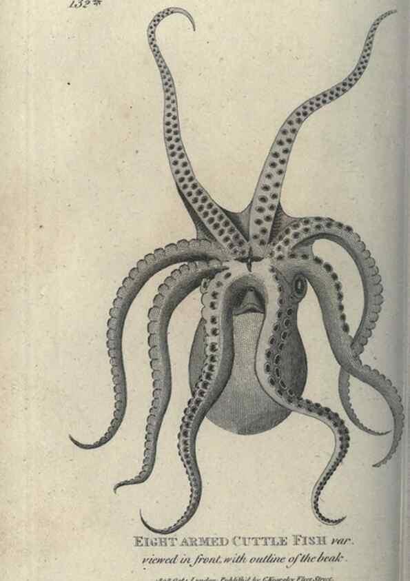 Reproducción/Reproduction 7159712353: Zoological lectures delivered at the Royal Institution. London,Kearsley,1809.