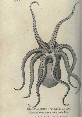 Reproducción/Reproduction 7159712353: Zoological lectures delivered at the Royal Institution. London,Kearsley,1809.