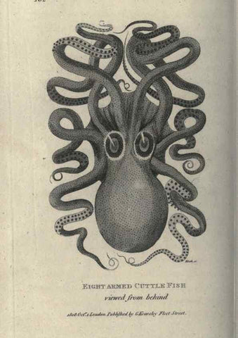 Reproducción/Reproduction 7344921760: Zoological lectures delivered at the Royal Institution. London,Kearsley,1809.
