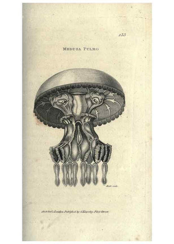 Reproducción/Reproduction 7159715759: Zoological lectures delivered at the Royal Institution. London,Kearsley,1809.