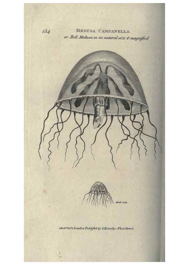 Reproducción/Reproduction 7344923546: Zoological lectures delivered at the Royal Institution. London,Kearsley,1809.