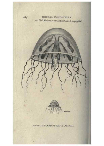 Reproducción/Reproduction 7344923546: Zoological lectures delivered at the Royal Institution. London,Kearsley,1809.