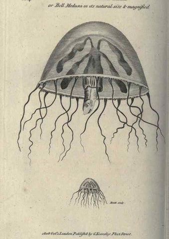 Reproducción/Reproduction 7344923546: Zoological lectures delivered at the Royal Institution. London,Kearsley,1809.