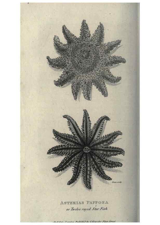Reproducción/Reproduction 7344926488: Zoological lectures delivered at the Royal Institution. London,Kearsley,1809.