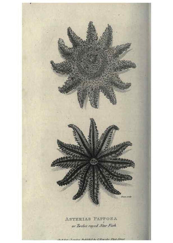 Reproducción/Reproduction 7344926488: Zoological lectures delivered at the Royal Institution. London,Kearsley,1809.