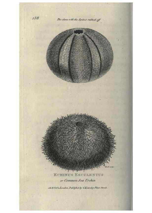 Reproducción/Reproduction 7159720069: Zoological lectures delivered at the Royal Institution. London,Kearsley,1809.