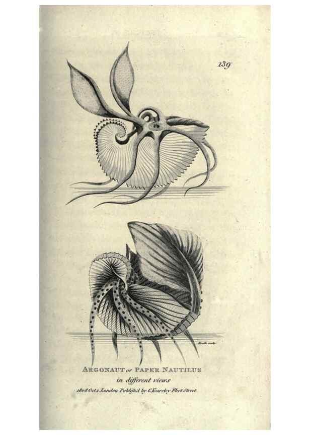 Reproducción/Reproduction 7159721005: Zoological lectures delivered at the Royal Institution. London,Kearsley,1809.