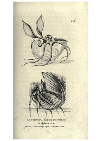 Reproducción/Reproduction 7159721005: Zoological lectures delivered at the Royal Institution. London,Kearsley,1809.