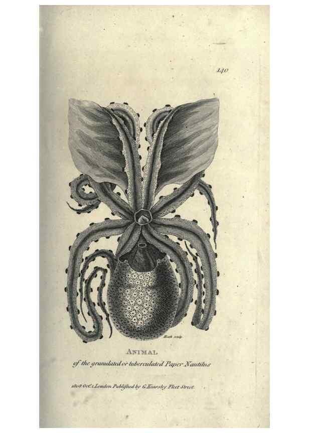 Reproducción/Reproduction 7344928798: Zoological lectures delivered at the Royal Institution. London,Kearsley,1809.