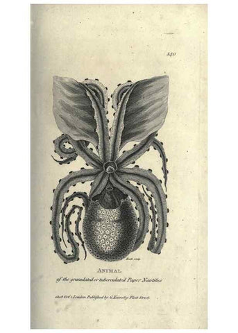Reproducción/Reproduction 7344928798: Zoological lectures delivered at the Royal Institution. London,Kearsley,1809.