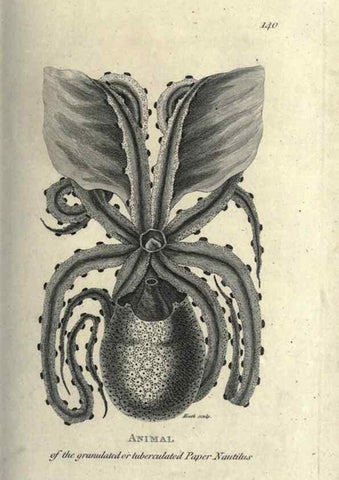 Reproducción/Reproduction 7344928798: Zoological lectures delivered at the Royal Institution. London,Kearsley,1809.