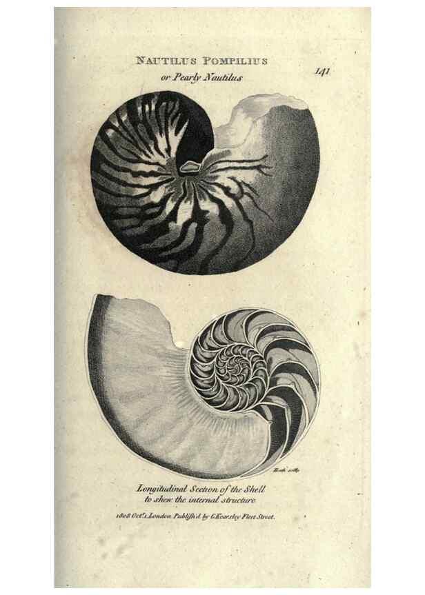 Reproducción/Reproduction 7344929730: Zoological lectures delivered at the Royal Institution. London,Kearsley,1809.