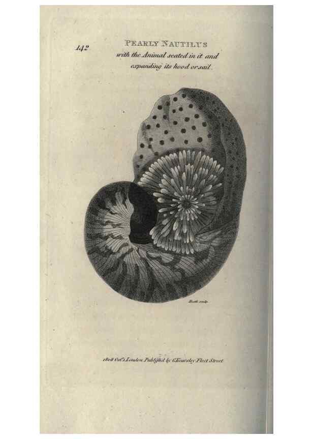 Reproducción/Reproduction 7344930590: Zoological lectures delivered at the Royal Institution. London,Kearsley,1809.