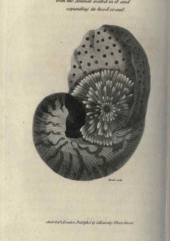 Reproducción/Reproduction 7344930590: Zoological lectures delivered at the Royal Institution. London,Kearsley,1809.