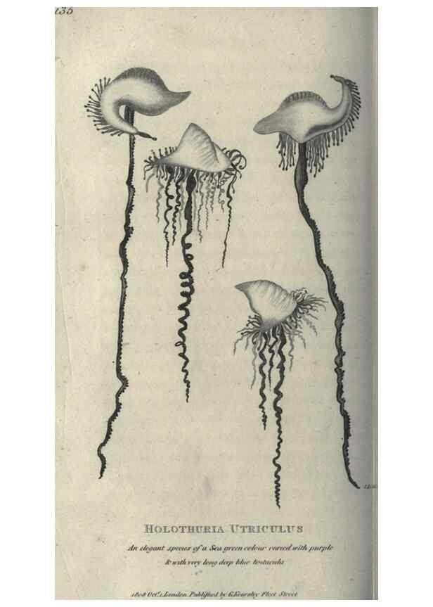 Reproducción/Reproduction 7344924402: Zoological lectures delivered at the Royal Institution. London,Kearsley,1809.