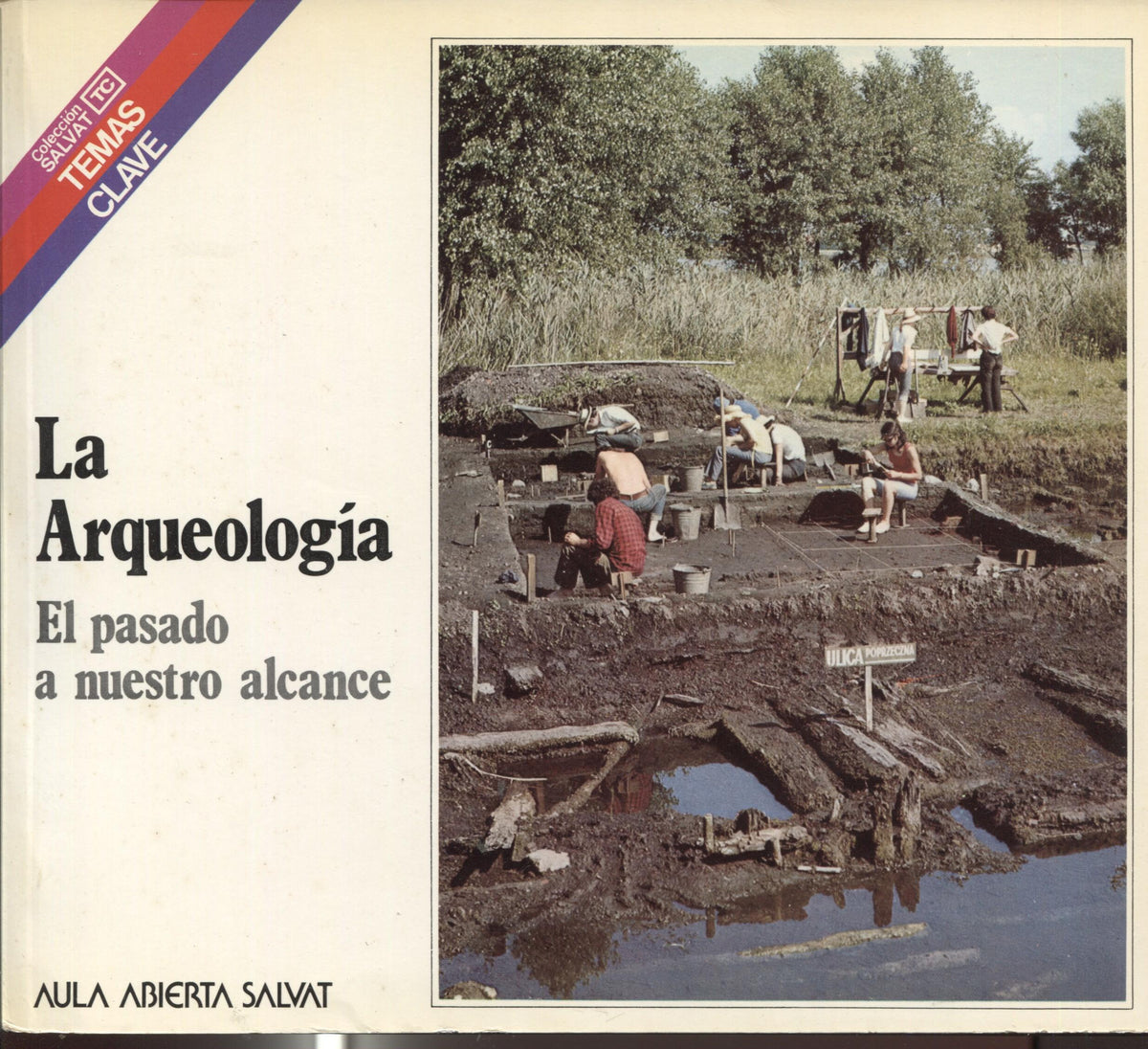 Temas Clave numero 024: La arqueologia, el pasado a nuestro alcance