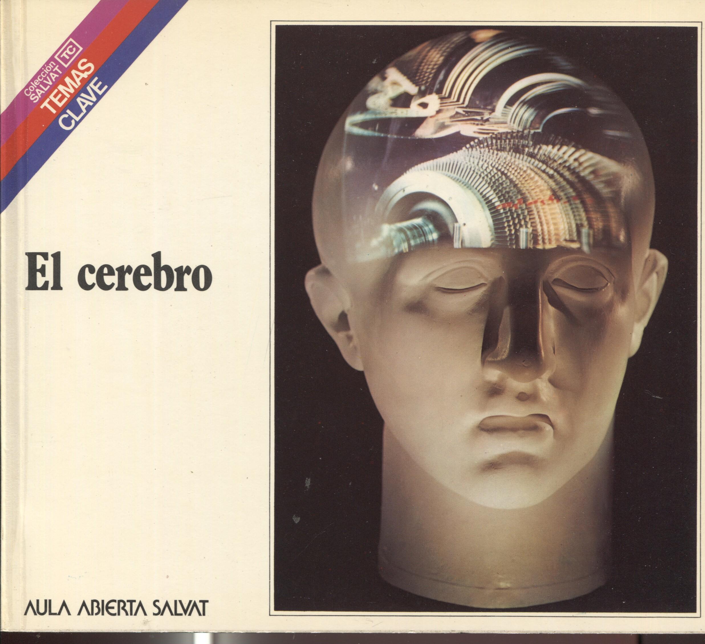 Temas Clave numero 031: El cerebro