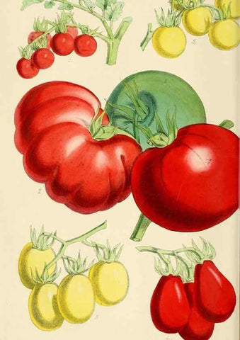 Reproducción/Reproduction 7189883839: The florist and pomologist.. London :""Journal of Horticulture"" Office,1863-1879.