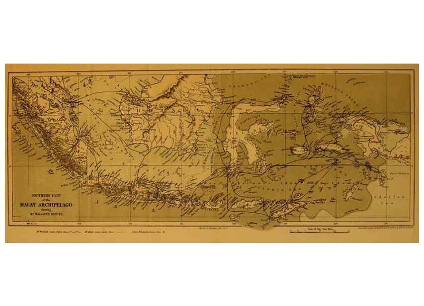 Reproducción/Reproduction 7402222490: The Malay Archipelago:. New York,Harper & Brothers,1869.