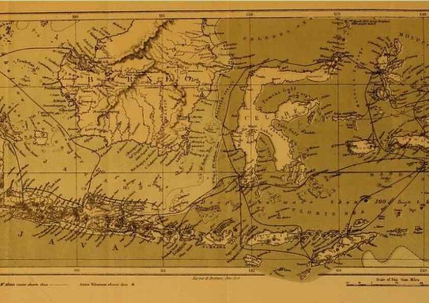 Reproducción/Reproduction 7402222490: The Malay Archipelago:. New York,Harper & Brothers,1869.