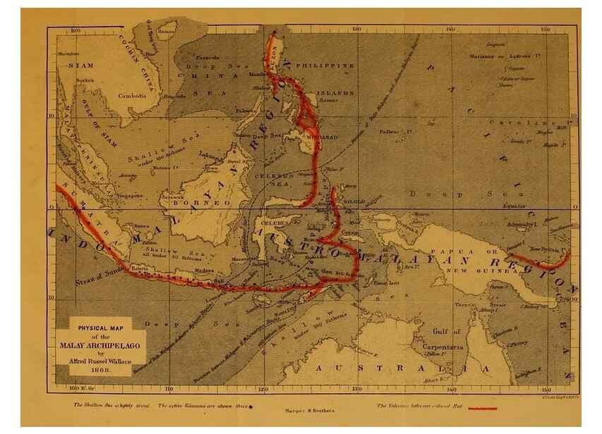 Reproducción/Reproduction 7402223428: The Malay Archipelago:. New York,Harper & Brothers,1869.