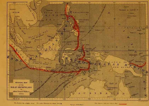 Reproducción/Reproduction 7402223428: The Malay Archipelago:. New York,Harper & Brothers,1869.