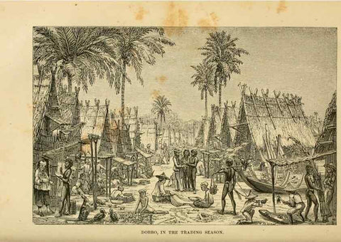 Reproducción/Reproduction 7402233026: The Malay Archipelago:. New York,Harper & Brothers,1869.