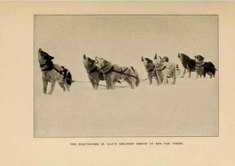 Reproducción/Reproduction 7409129408: The human side of animals,. New York,Frederick A. Stokes Company[c1918]
