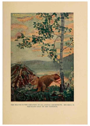 Reproducción/Reproduction 7409119624: The human side of animals,. New York,Frederick A. Stokes Company[c1918]