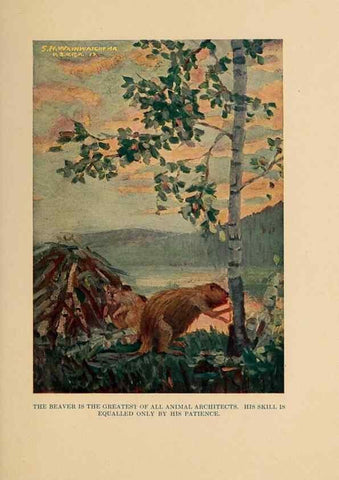 Reproducción/Reproduction 7409119624: The human side of animals,. New York,Frederick A. Stokes Company[c1918]