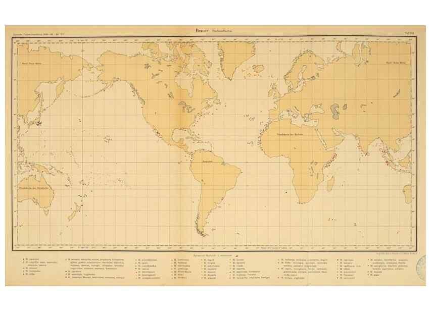 Reproducción/Reproduction 7413864088: Wissenschaftliche Ergebnisse der Deutschen Tiefsee-Expedition auf dem Dampfer ""Valdivia"" 1898-1899.. Jena,G. Fischer,1902-40.