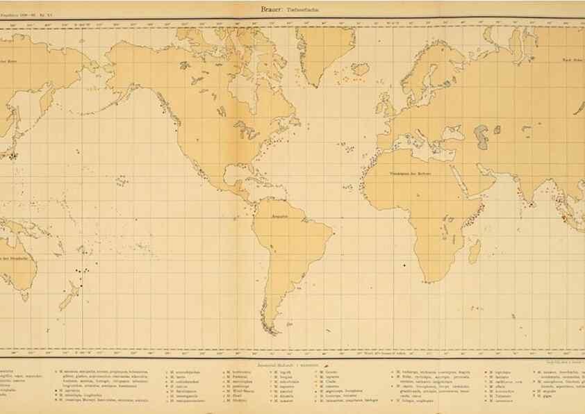 Reproducción/Reproduction 7413864088: Wissenschaftliche Ergebnisse der Deutschen Tiefsee-Expedition auf dem Dampfer ""Valdivia"" 1898-1899.. Jena,G. Fischer,1902-40.