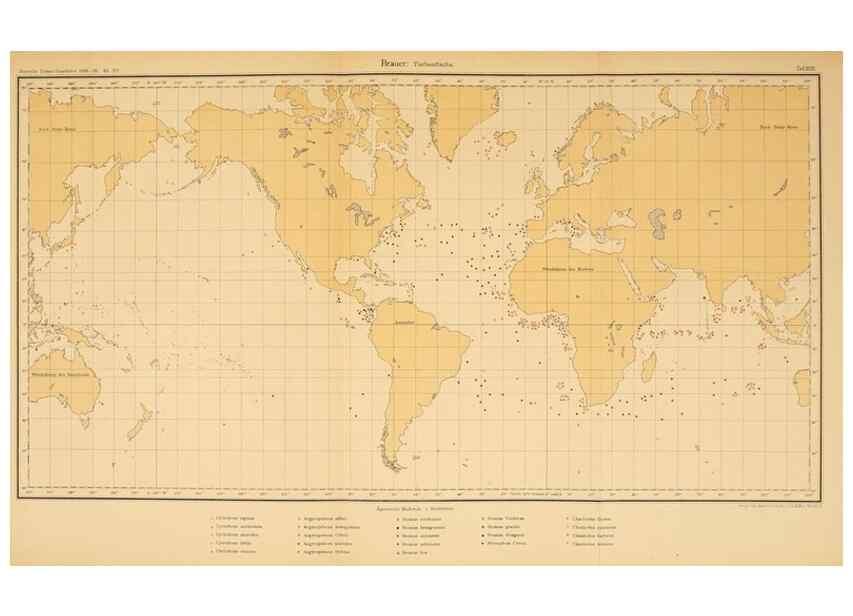Reproducción/Reproduction 7413864704: Wissenschaftliche Ergebnisse der Deutschen Tiefsee-Expedition auf dem Dampfer ""Valdivia"" 1898-1899.. Jena,G. Fischer,1902-40.