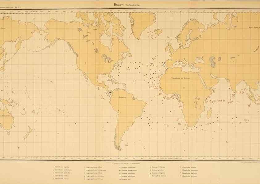 Reproducción/Reproduction 7413864704: Wissenschaftliche Ergebnisse der Deutschen Tiefsee-Expedition auf dem Dampfer ""Valdivia"" 1898-1899.. Jena,G. Fischer,1902-40.
